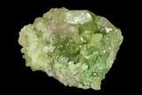 Vesuvianite Crystal Cluster - Jeffrey Mine, Canada #134419-1